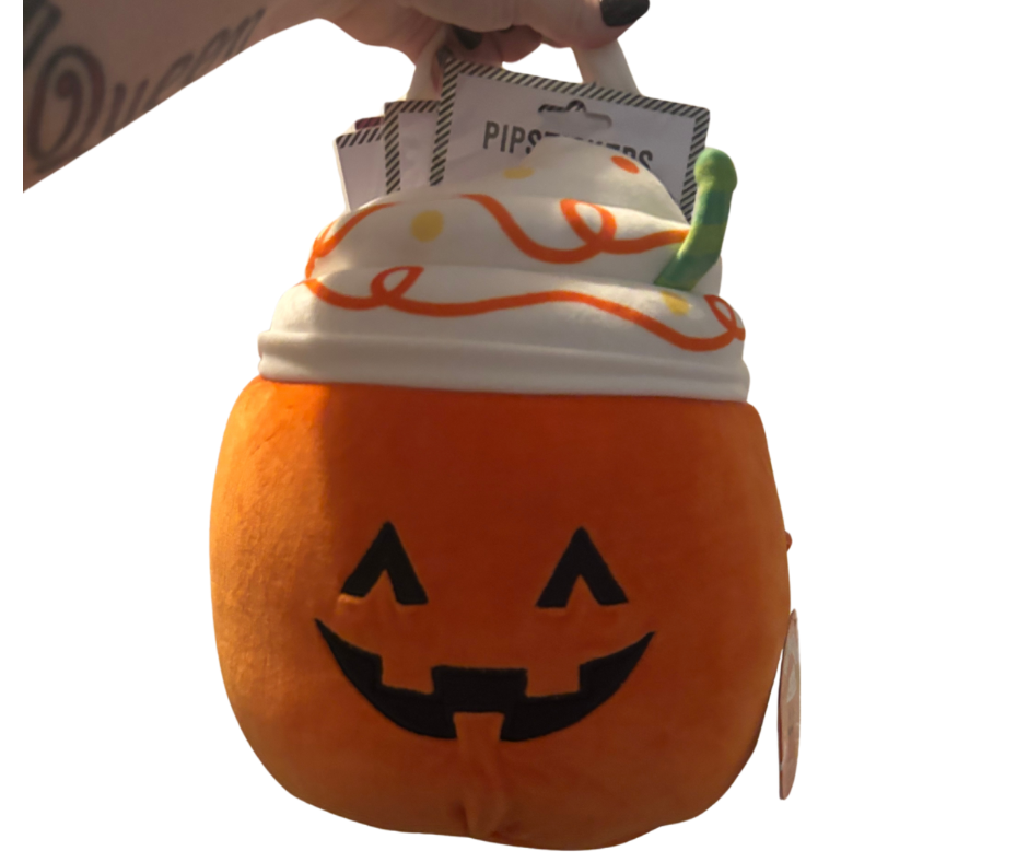Lester the pumpkin squishmallow mystery bag