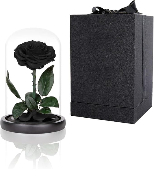 Preserved black rose